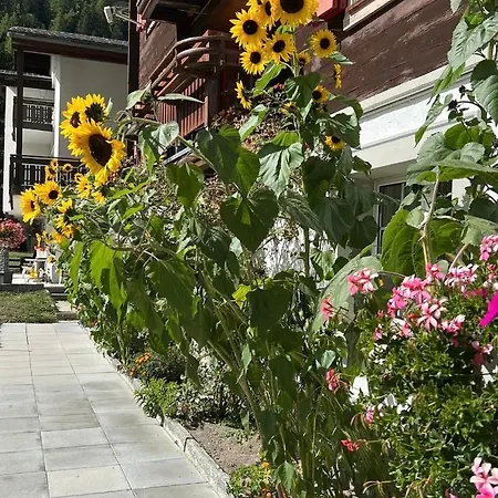 Haus Arnika شقة